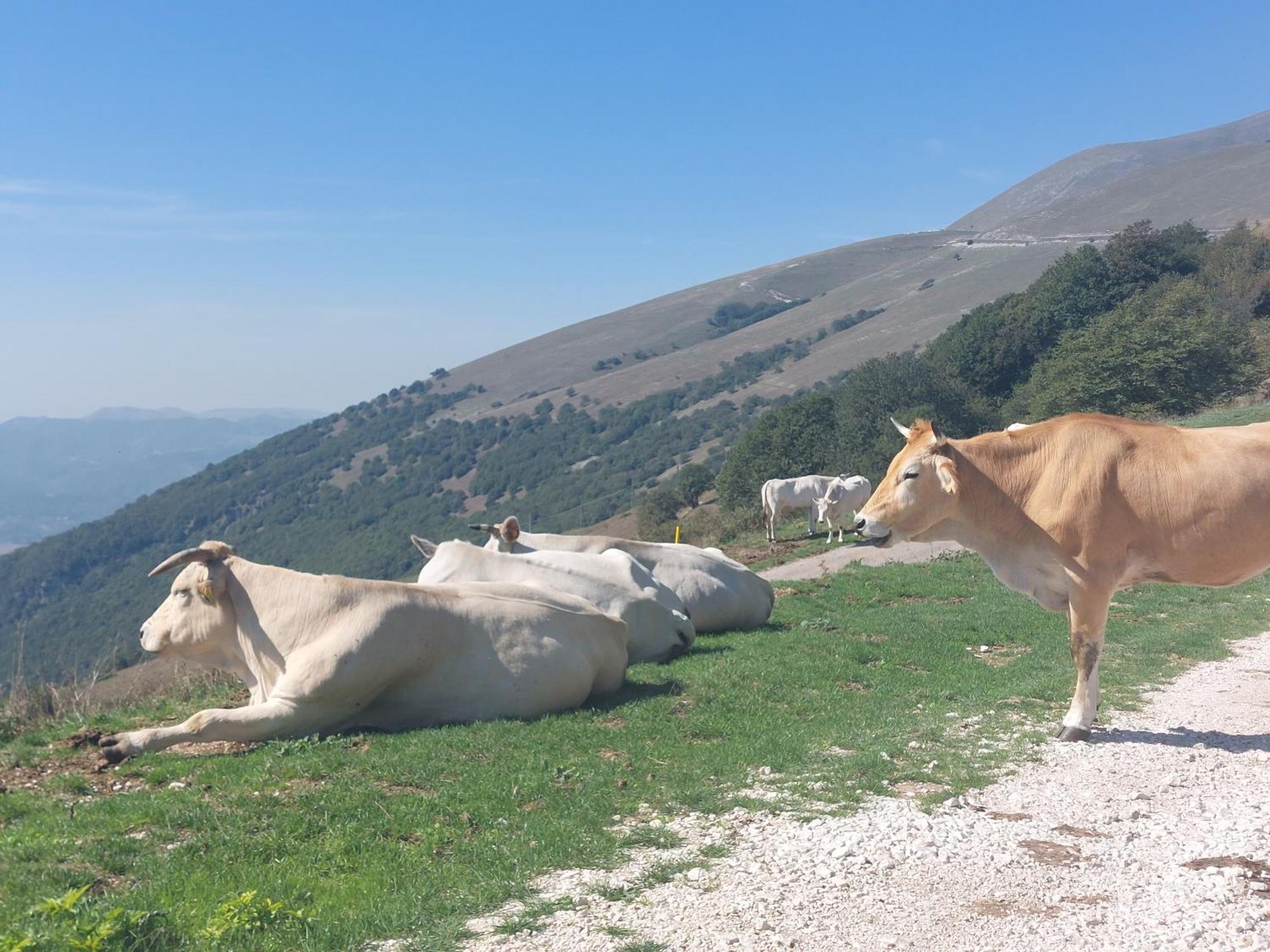 Bed and Breakfast Fonte Fresca Fabriano Exterior foto